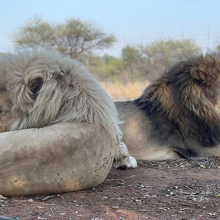 Simba Safaris African Pride Exotic Lodge Lephalale Exteriör bild
