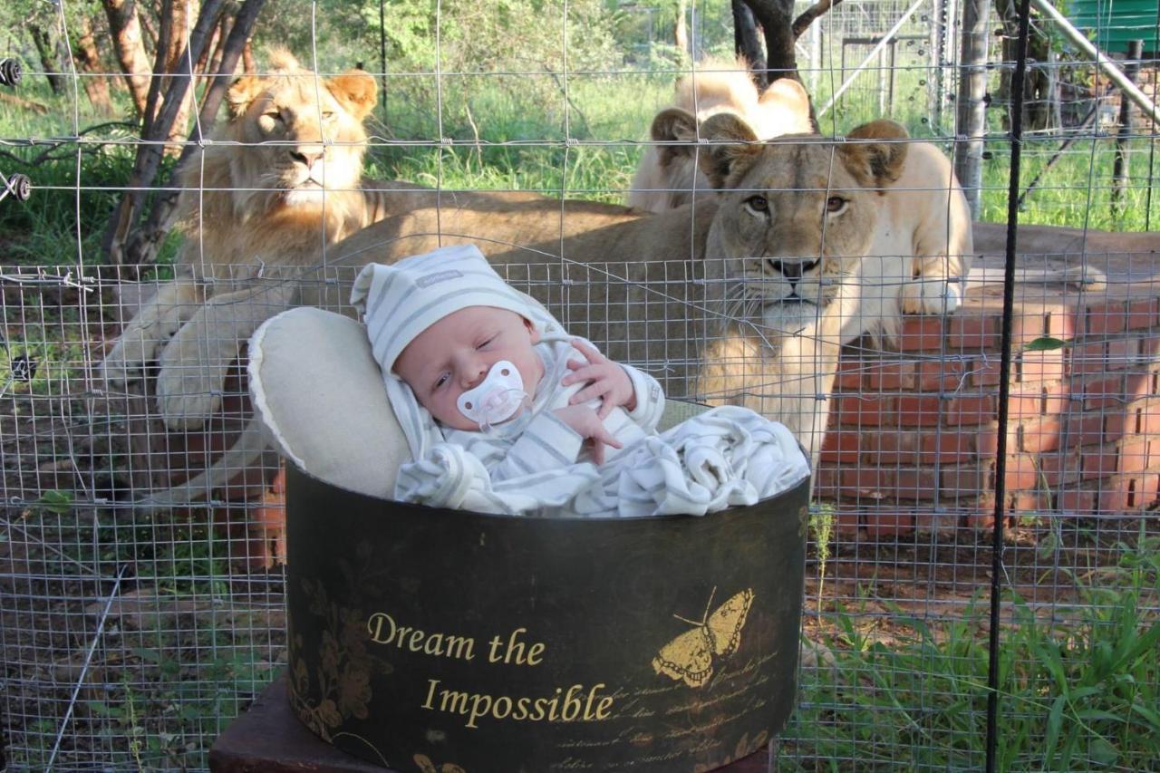 Simba Safaris African Pride Exotic Lodge Lephalale Exteriör bild