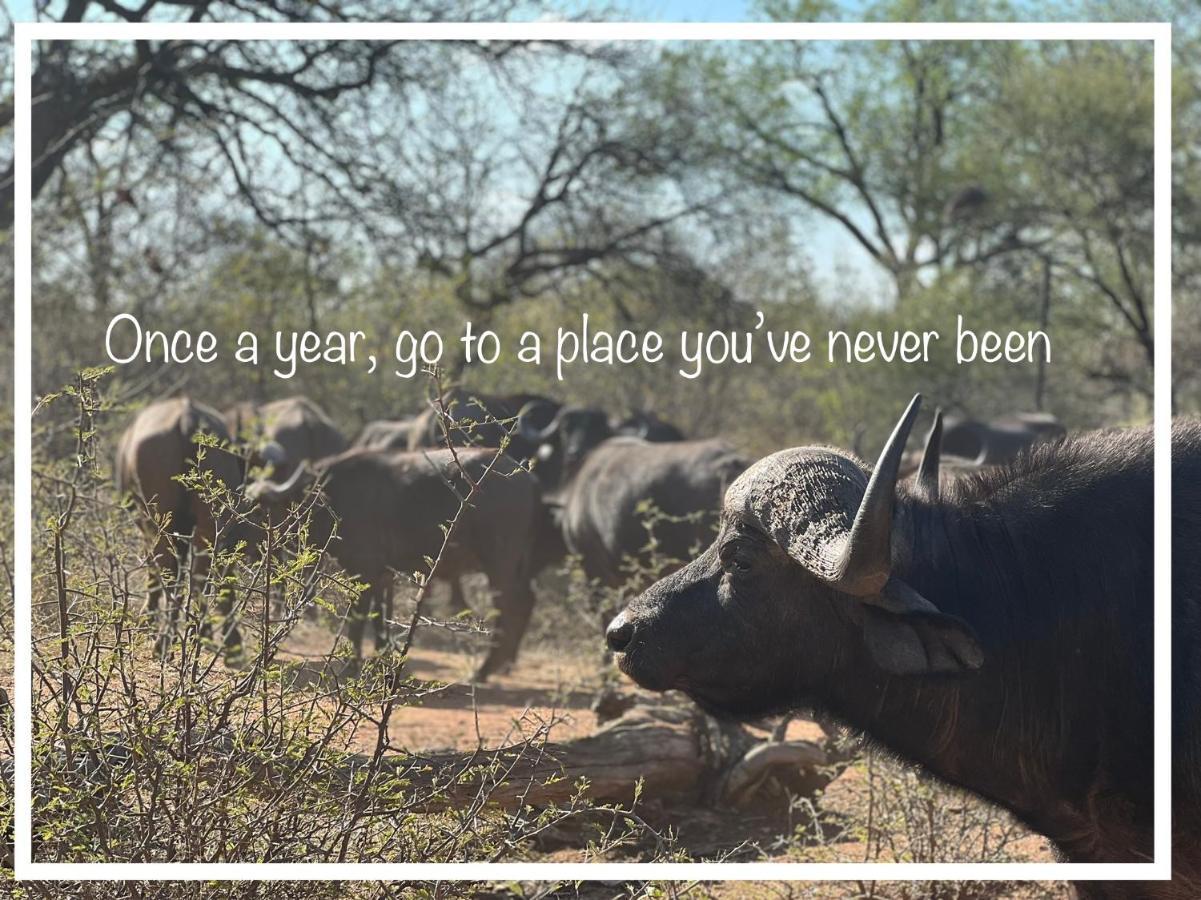 Simba Safaris African Pride Exotic Lodge Lephalale Exteriör bild
