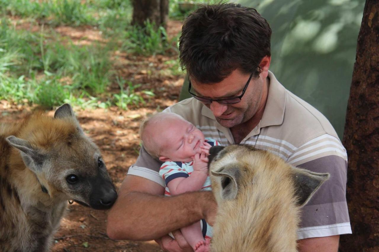Simba Safaris African Pride Exotic Lodge Lephalale Exteriör bild