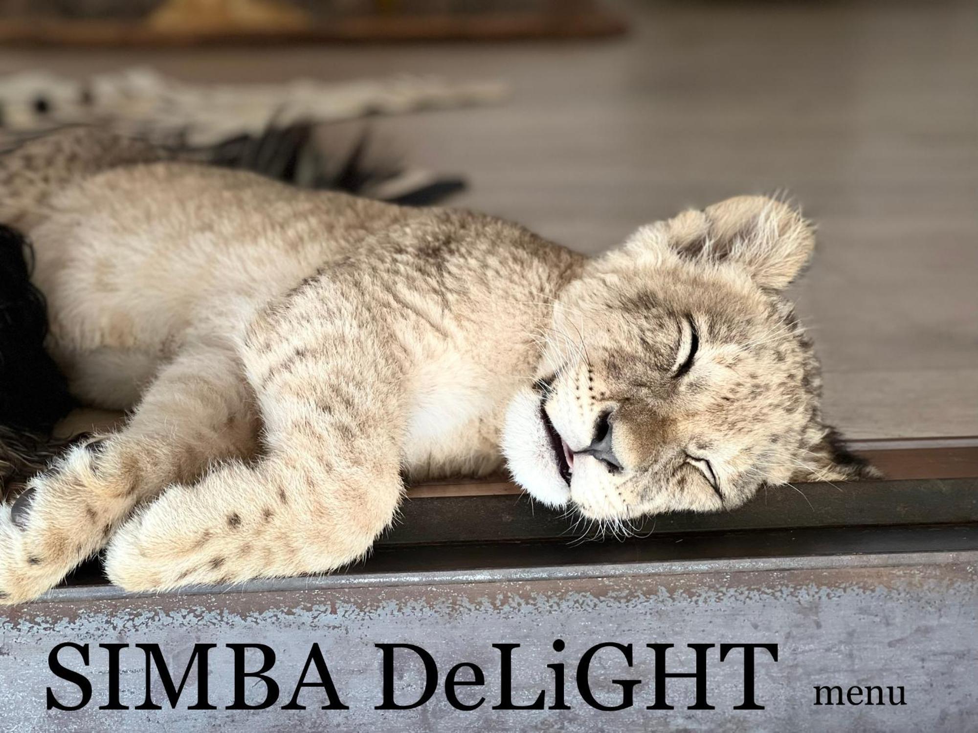 Simba Safaris African Pride Exotic Lodge Lephalale Exteriör bild