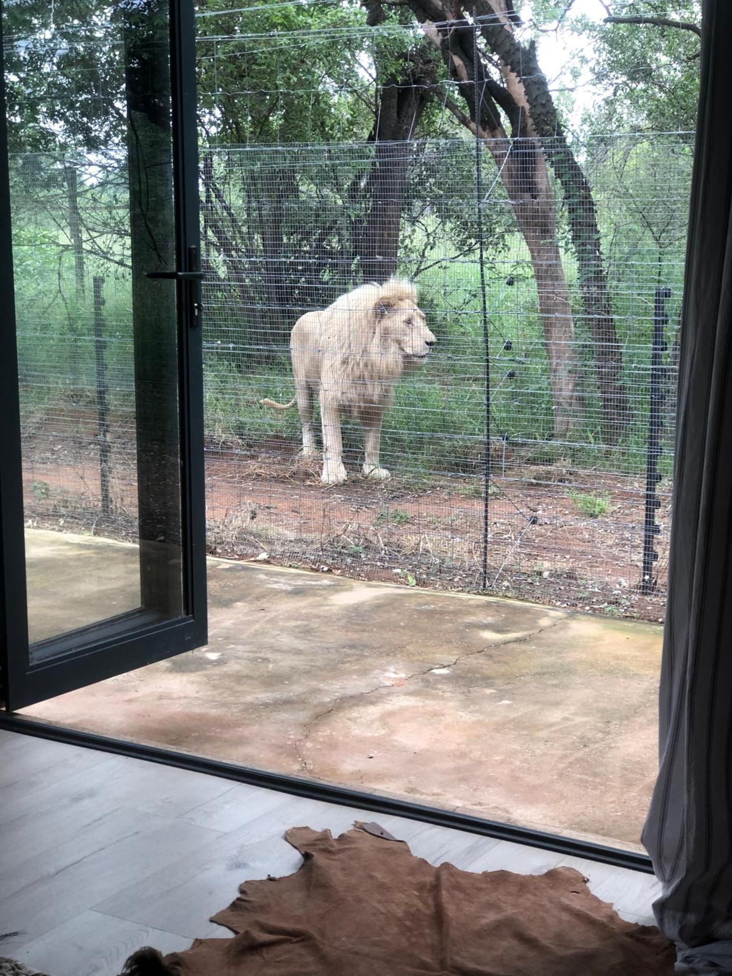 Simba Safaris African Pride Exotic Lodge Lephalale Exteriör bild