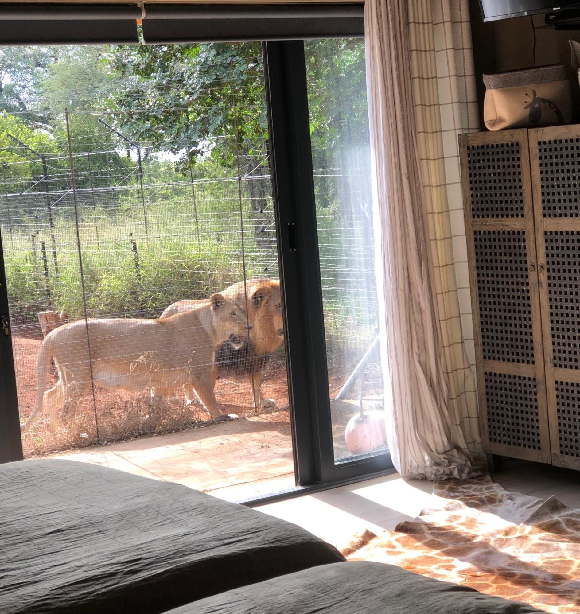 Simba Safaris African Pride Exotic Lodge Lephalale Exteriör bild