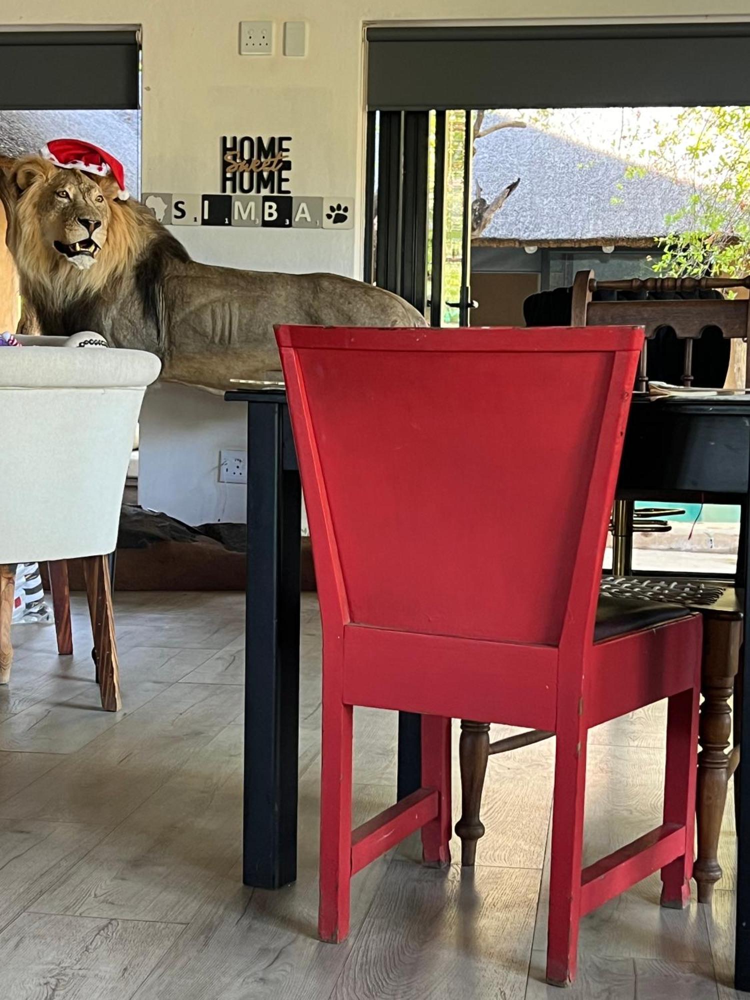 Simba Safaris African Pride Exotic Lodge Lephalale Exteriör bild