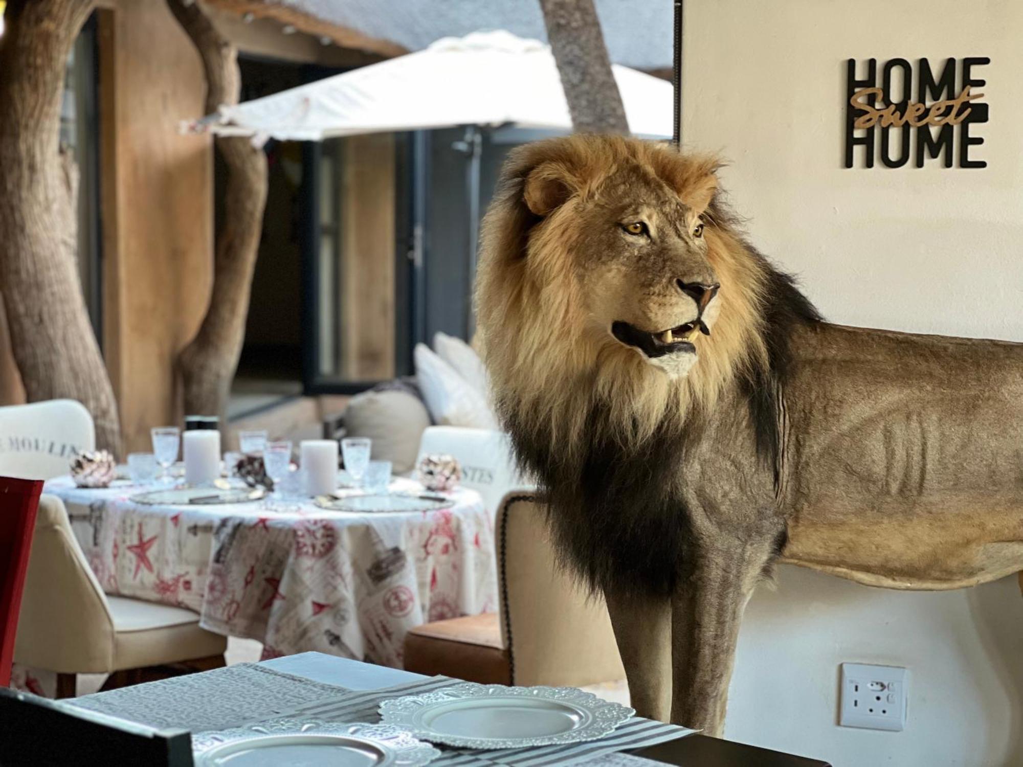 Simba Safaris African Pride Exotic Lodge Lephalale Exteriör bild