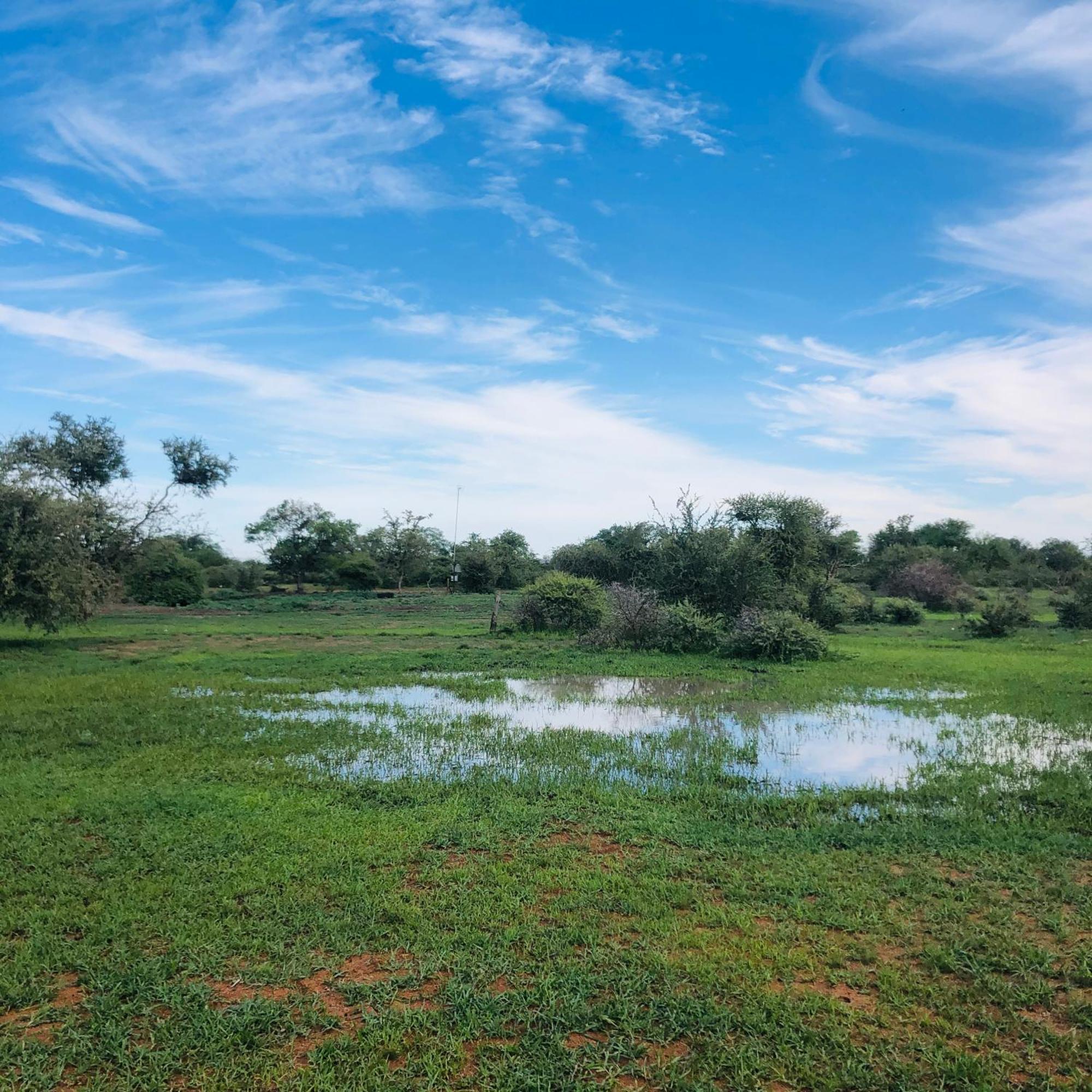 Simba Safaris African Pride Exotic Lodge Lephalale Exteriör bild