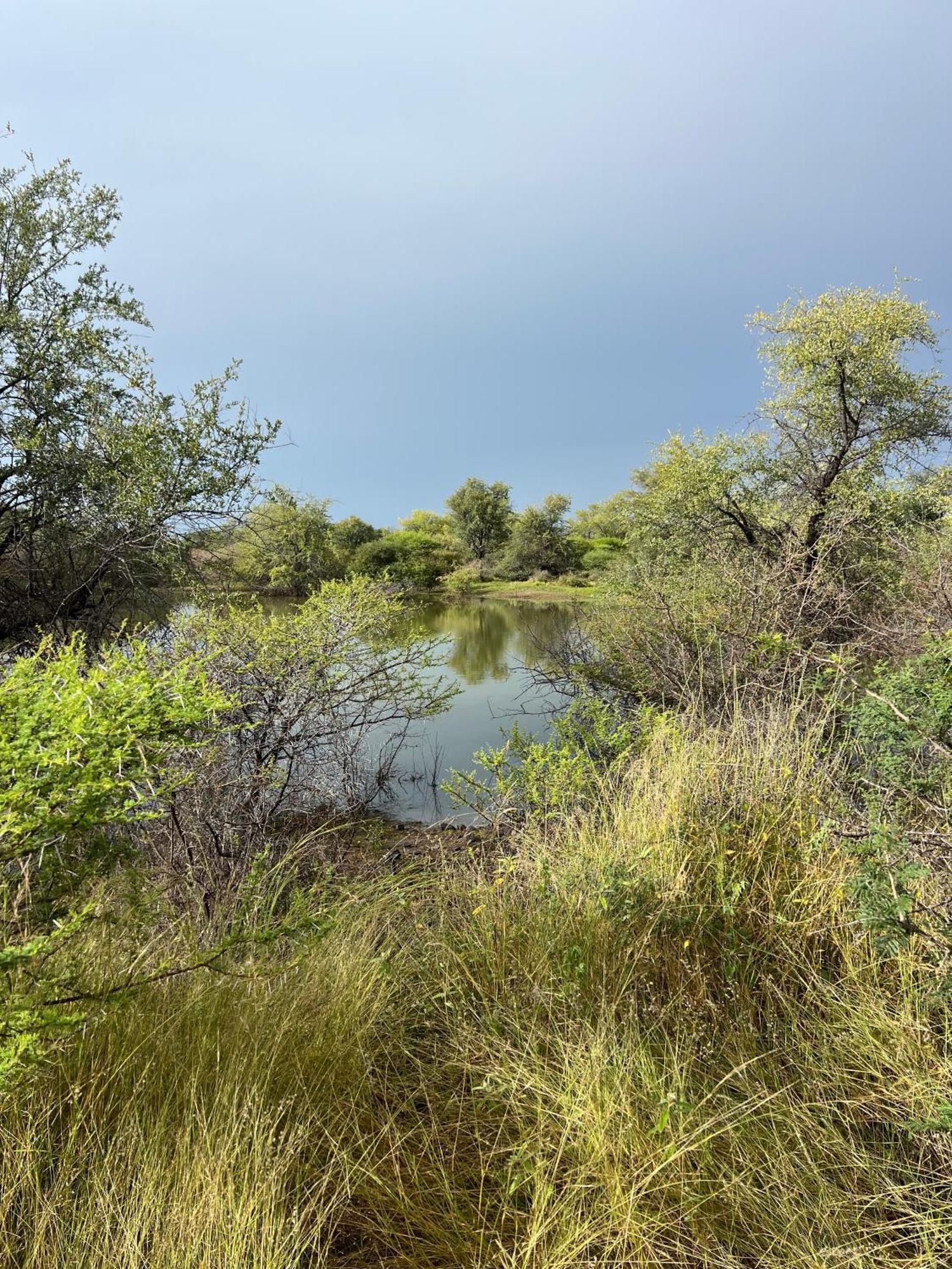 Simba Safaris African Pride Exotic Lodge Lephalale Exteriör bild